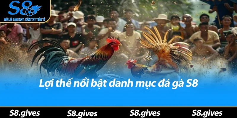 Lợi thế nổi bật danh mục đá gà S8
