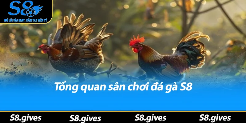 Tổng quan sân chơi đá gà S8